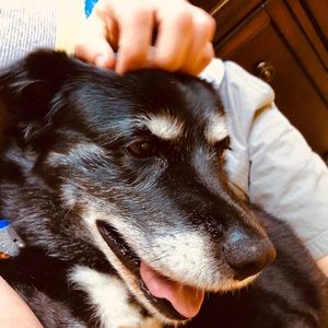 Meet your Posher, Russell